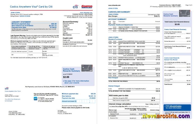 USA Costco Anywhere Visa Card by Citi bank statement 4 pages